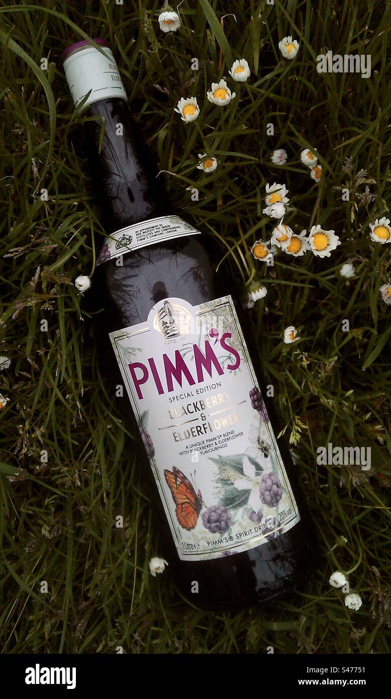 Pimm's Blackberry and Elderflower - Smartphone Captured Stock Image