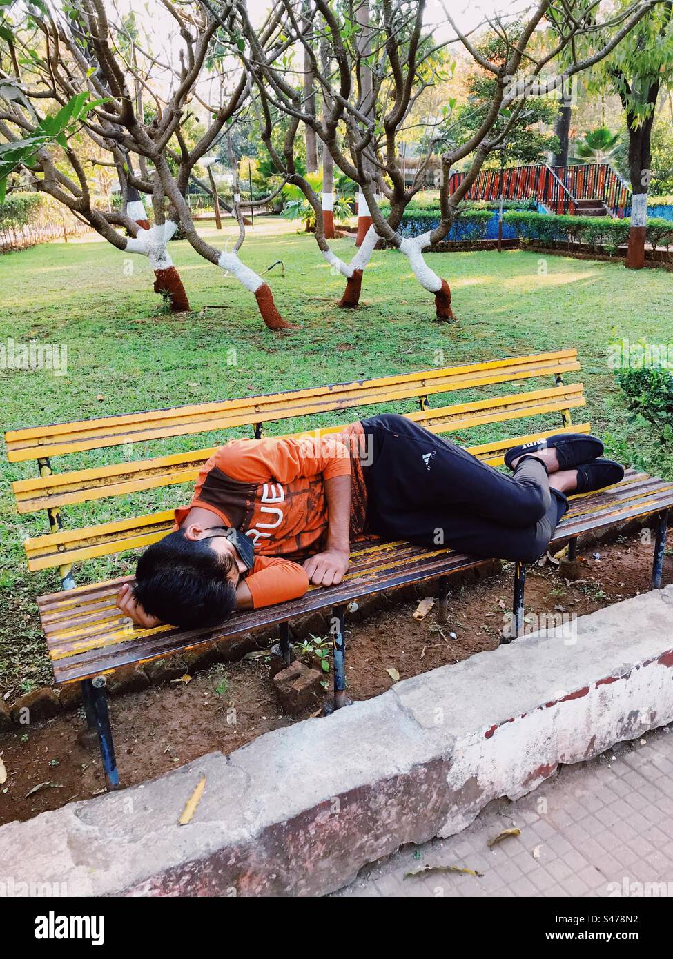 A young man sleeping on a public park bench - Smartphone Captured Stock Image