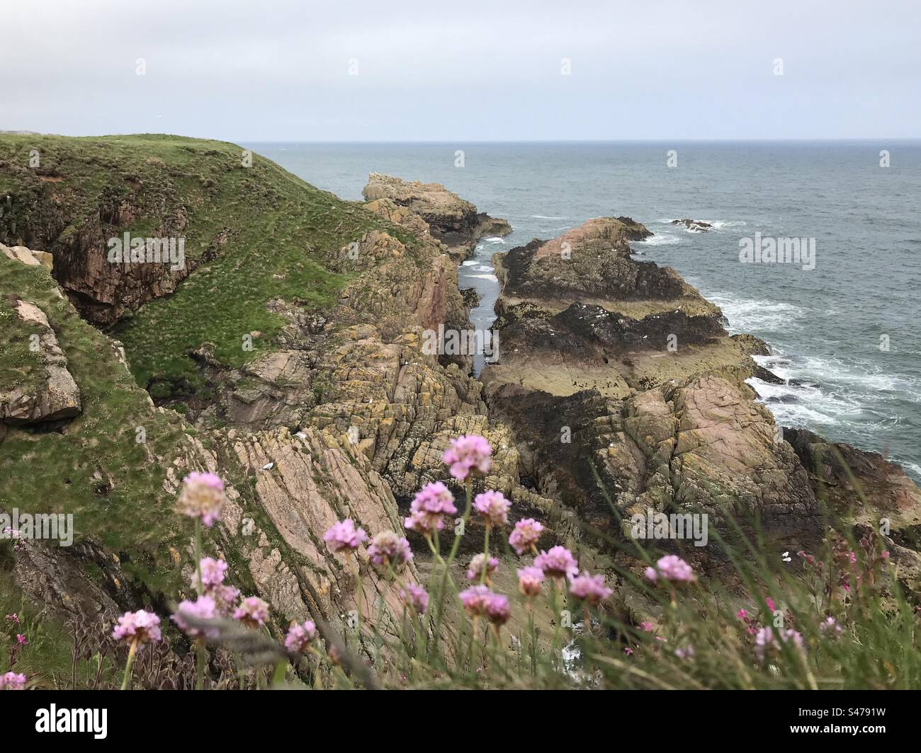 Near Cruden Bay, Scotland - Smartphone Captured Stock Image