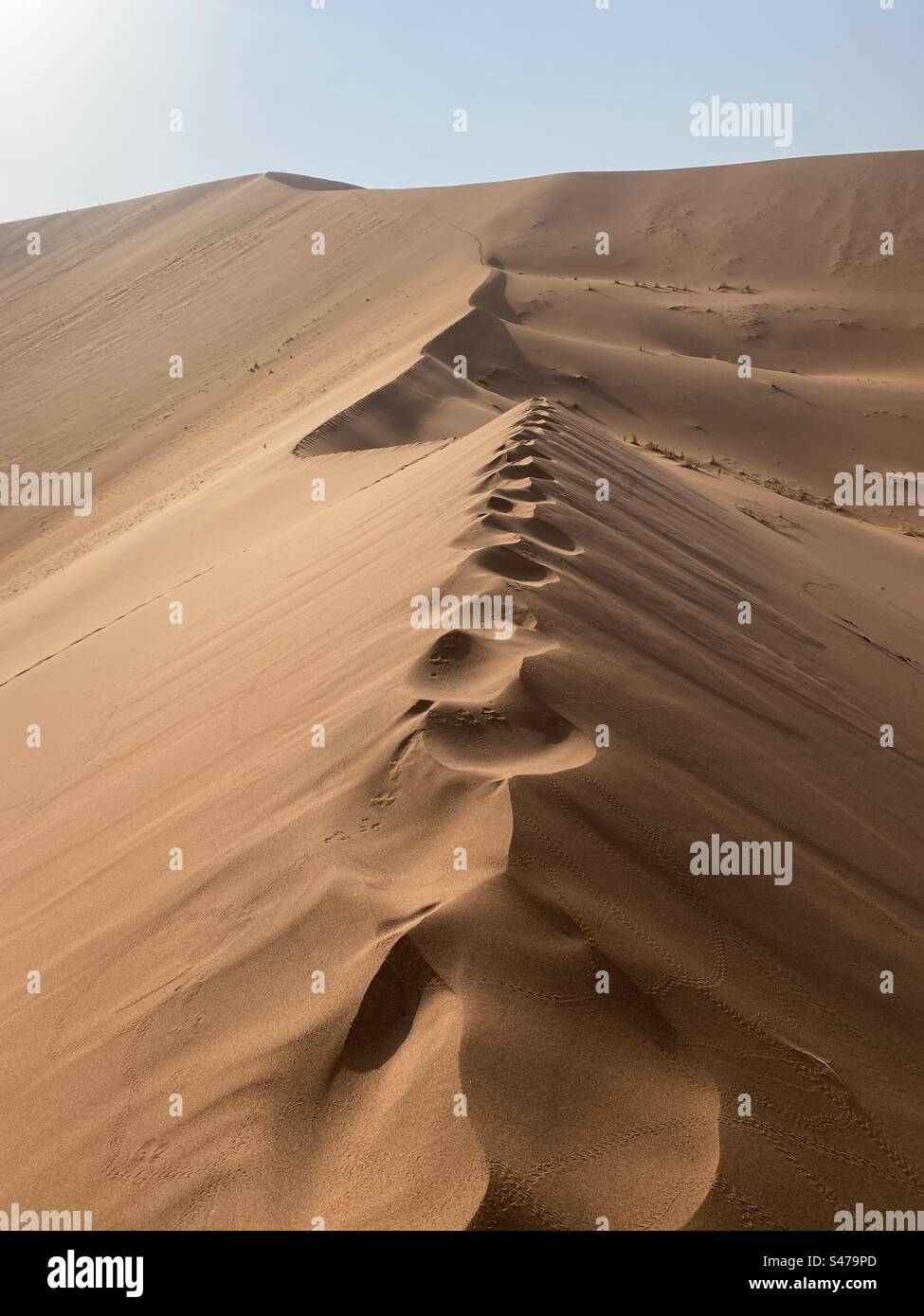 Footprints on the top of Big Daddy sand dune in Sossusvlei in Namibia Africa - Smartphone Captured Stock Image