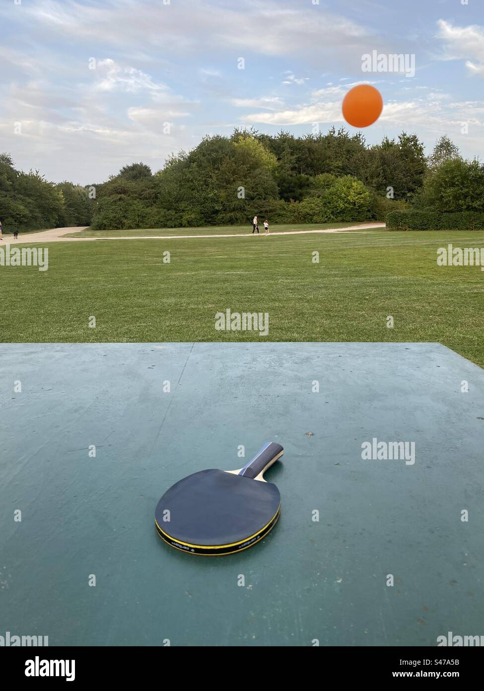 Table Tennis bouncing ball Stock Photo Alamy