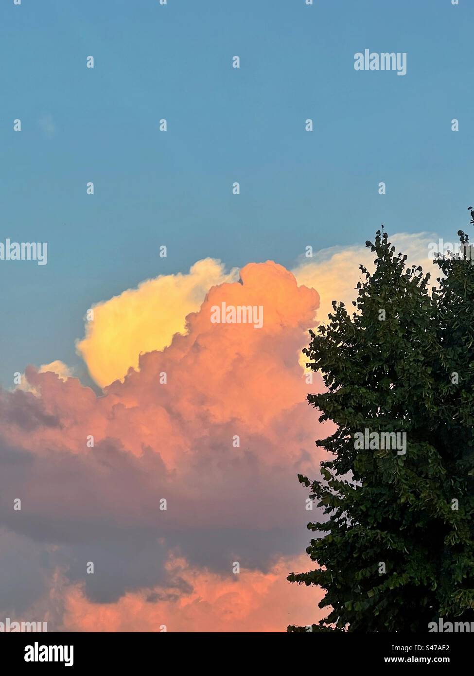 Pink cloud Stock Photo