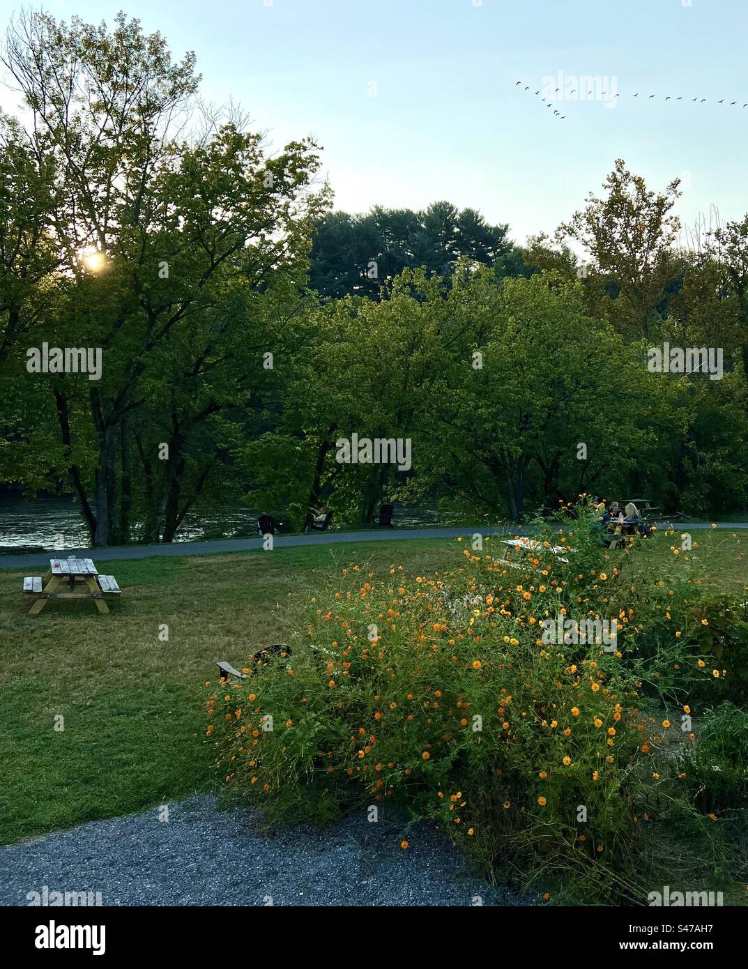 Spring flowers in the park hi-res stock photography and images - Alamy