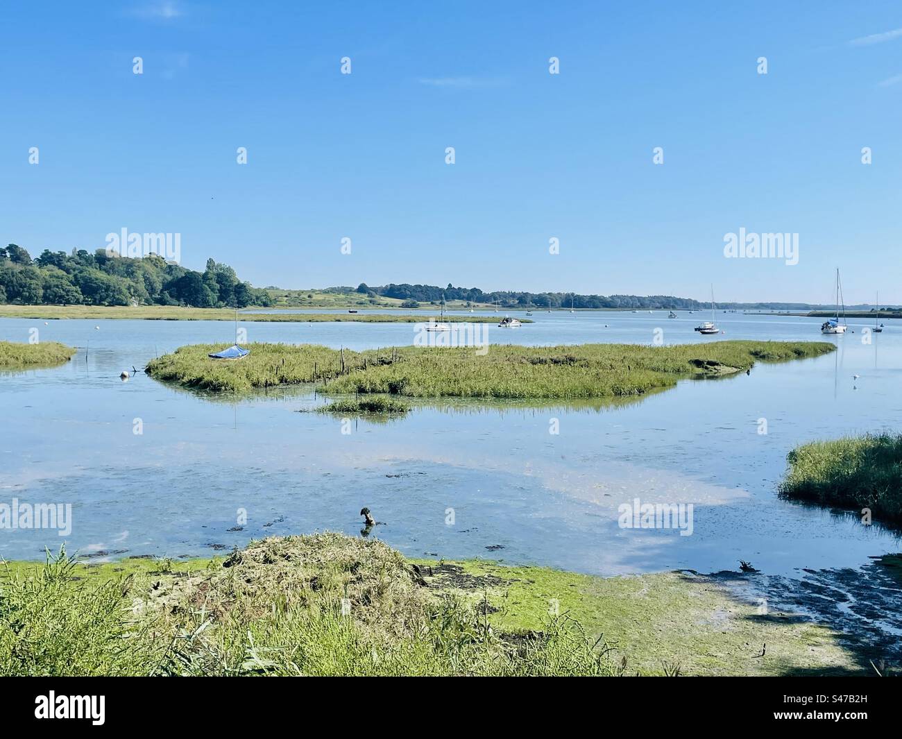 River Deben Woodbridge Suffolk England Stock Photo Alamy