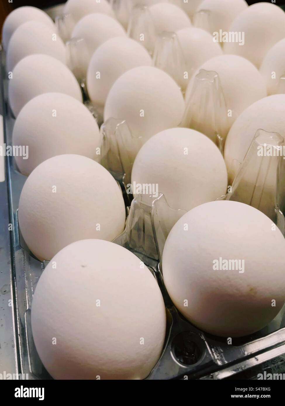 Close up of a large open carton of fresh white eggs at Costco, United States - Smartphone Captured Stock Image