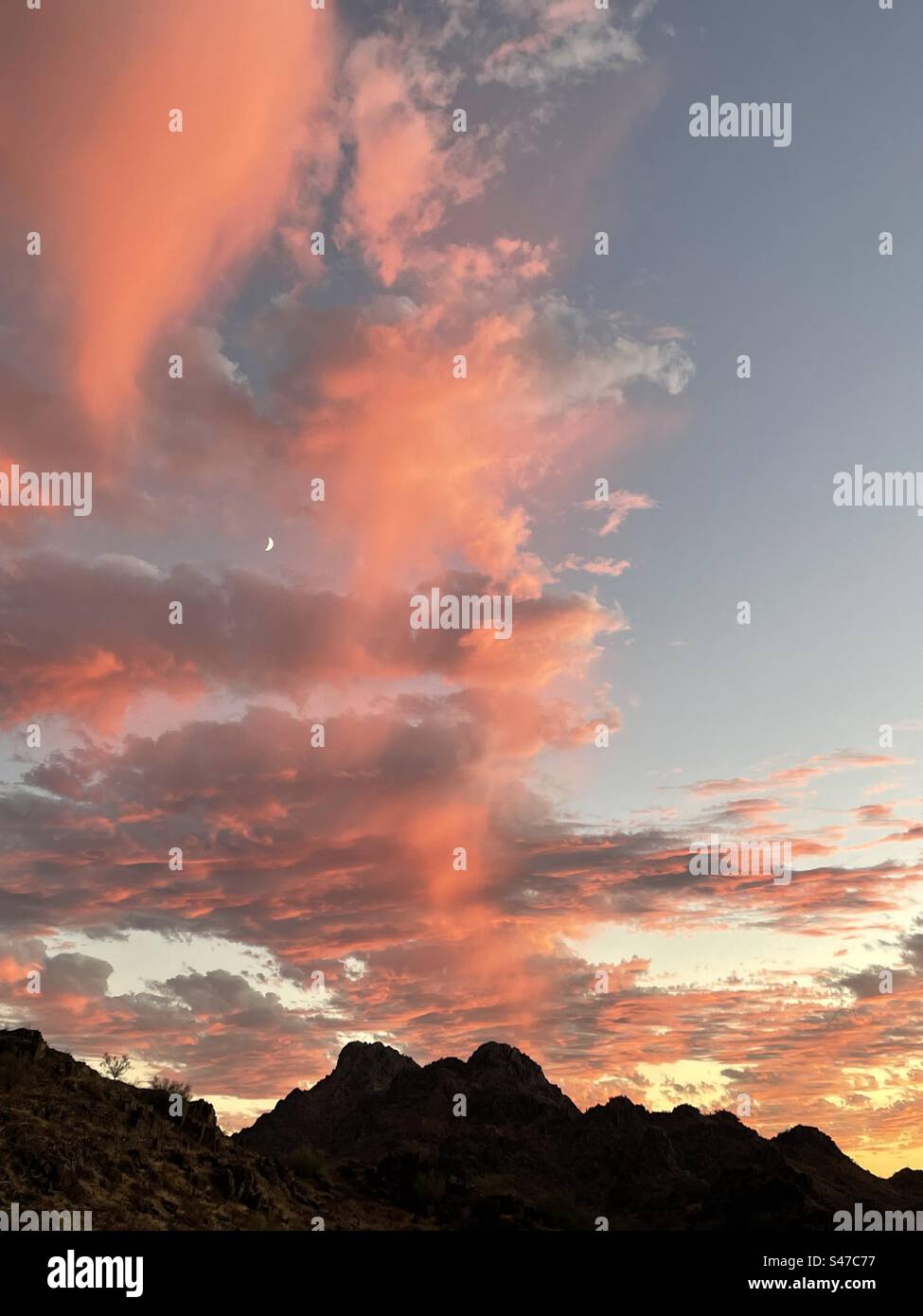 Crescent Moon embedded in fluffy rose orange clouds of Arizona sunset over Piestewa Peak, Phoenix Mountains Preserve, twilight blue and glowing gold sky Stock Photo