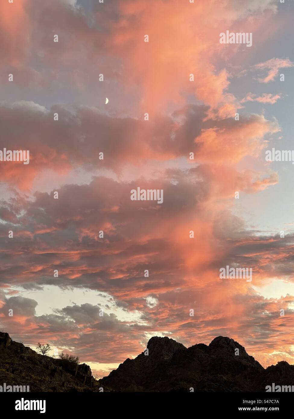 Crescent moon amongst rose orange clouds of Arizona sunset, silhouette of Piestewa and surrounding desert peaks, twilight blue sky, Phoenix Mountains Preserve Stock Photo