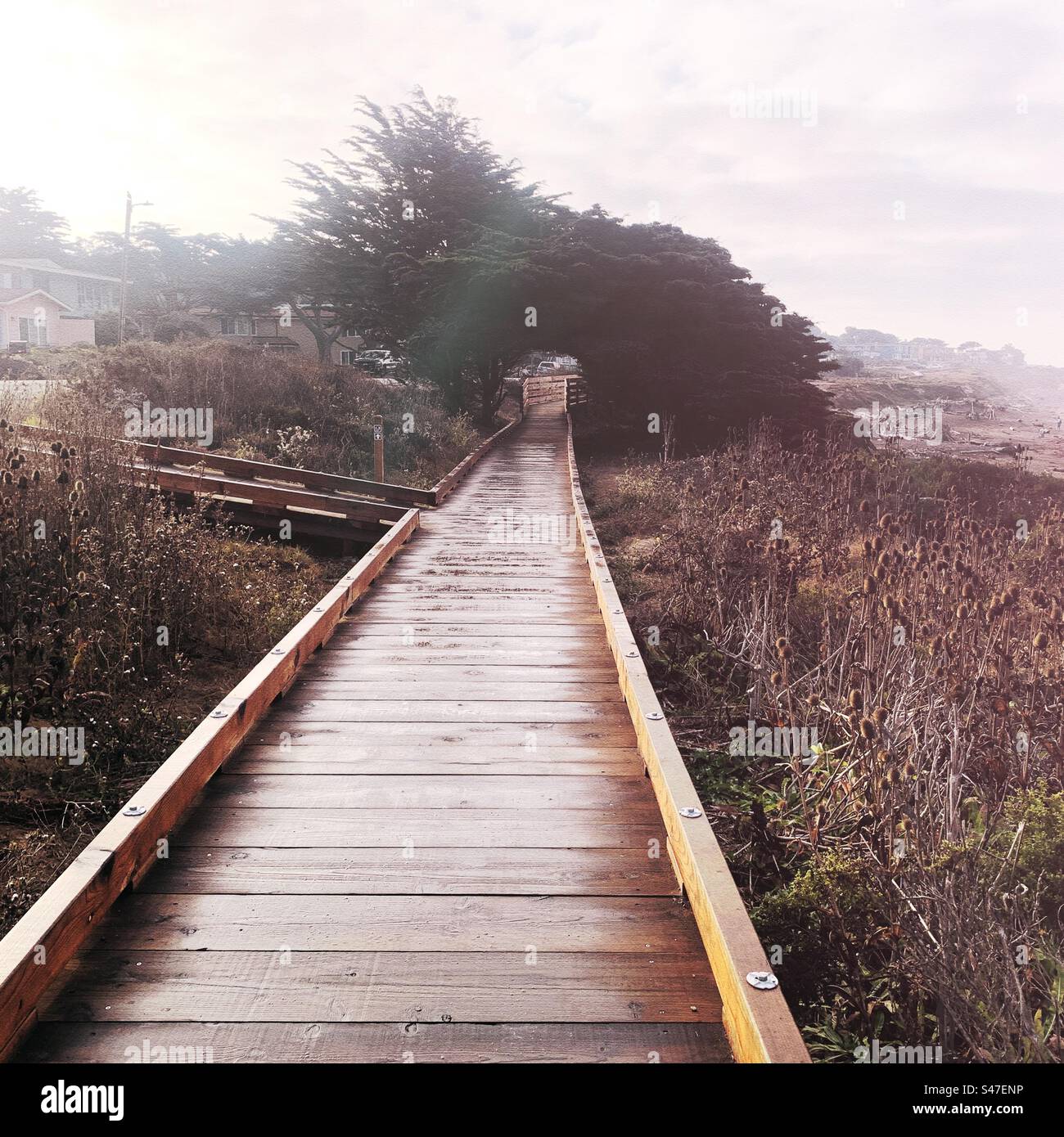 The boardwalk by Moonstone Beach in Cambria, California Stock Photo - Alamy