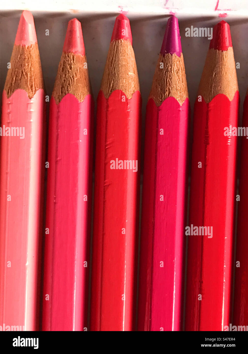 Pink and red pencils. - Smartphone Captured Stock Image