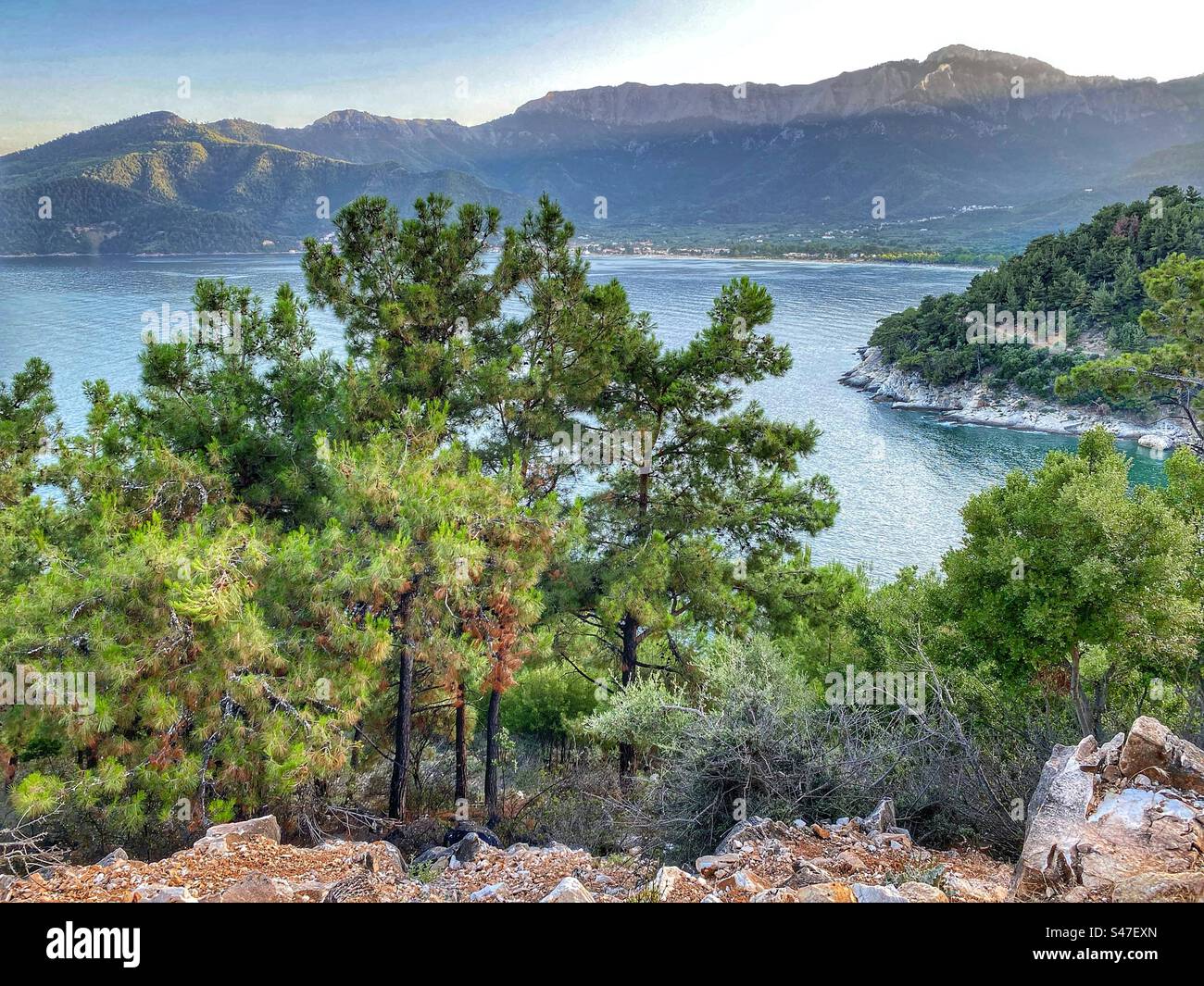 Sunset sea view with pine trees and mountains on Thassos island in Greece. - Smartphone Captured Stock Image