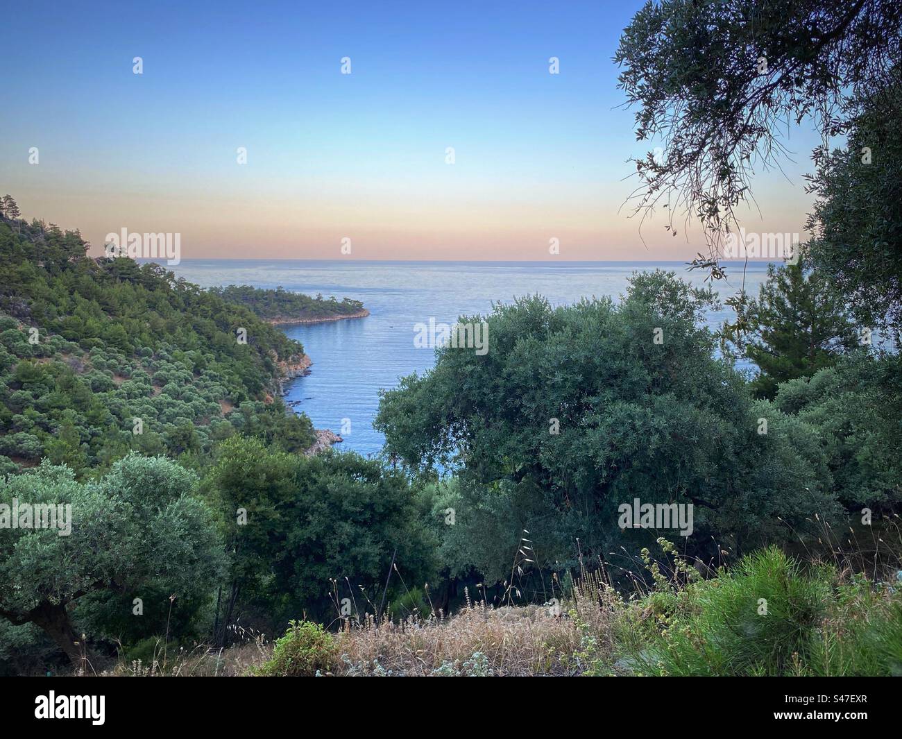 Sunset sea view with horizon over water and lush green vegetation on Thassos island in Greece. - Smartphone Captured Stock Image