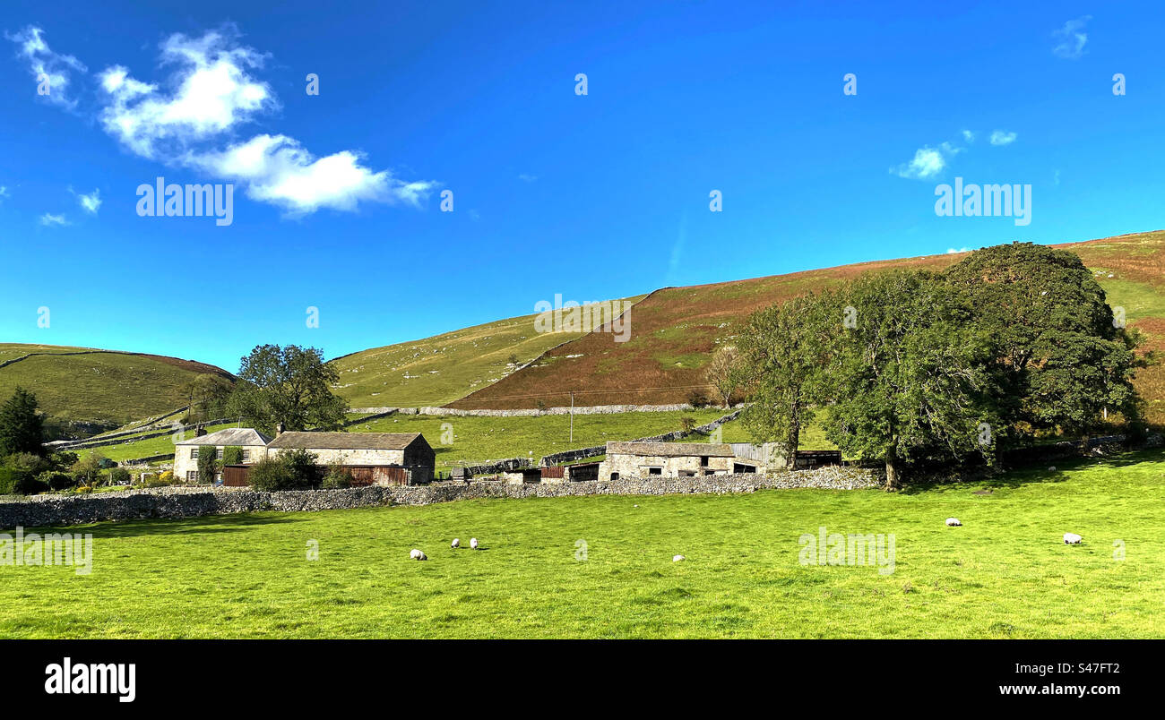 Yorkshire Dales landscape, with fields, farm buildings, and distant hills near, Halton, Gill, Skipton, UK Stock Photo