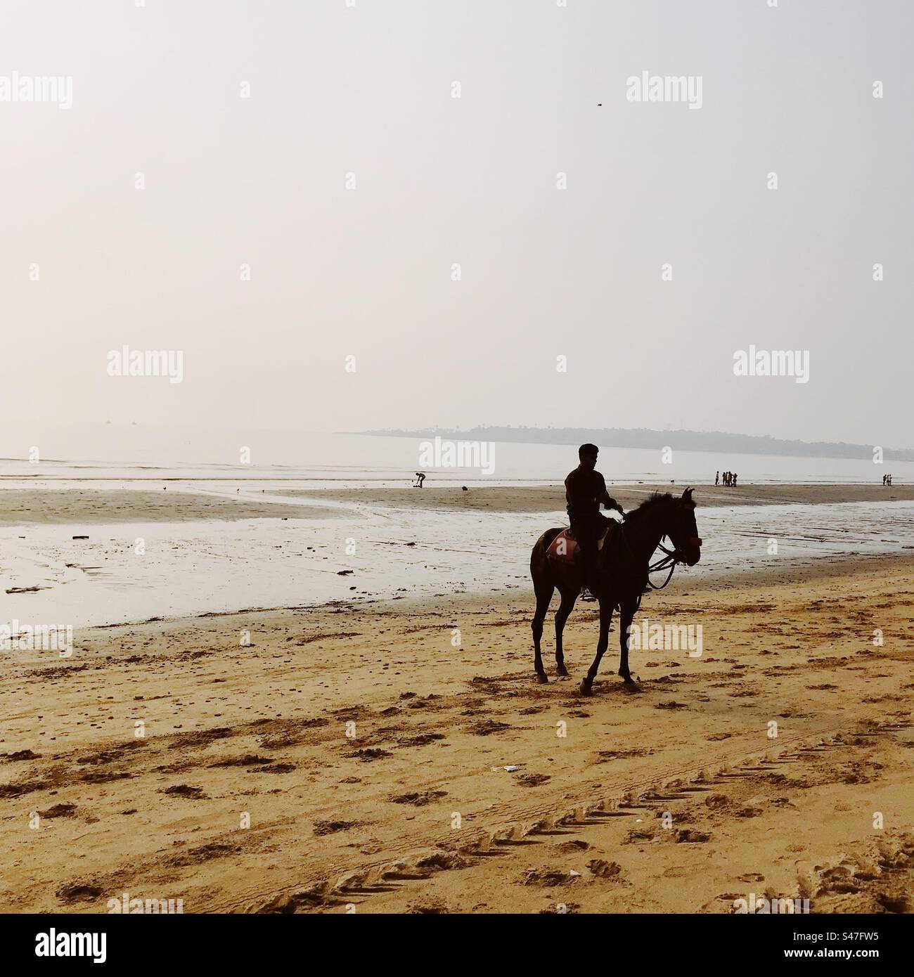 Horse and horse rider on a beach in Mumbai, India Stock Photo Alamy
