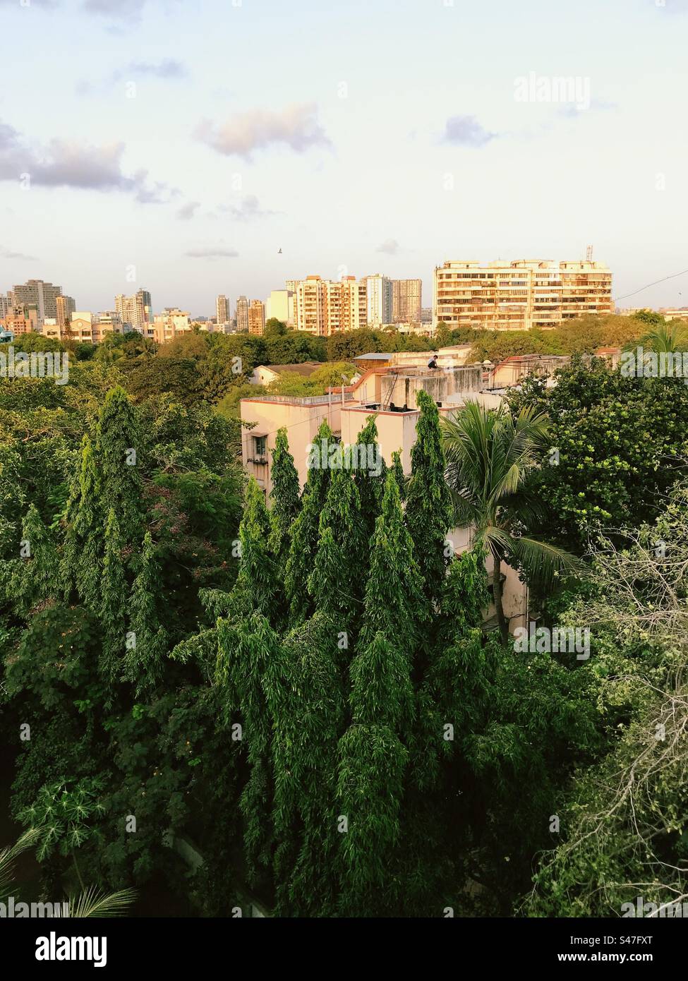 Mumbai skyline with lots of trees - Smartphone Captured Stock Image Mumbai skyline with lots of trees - Smartphone Captured Stock Image