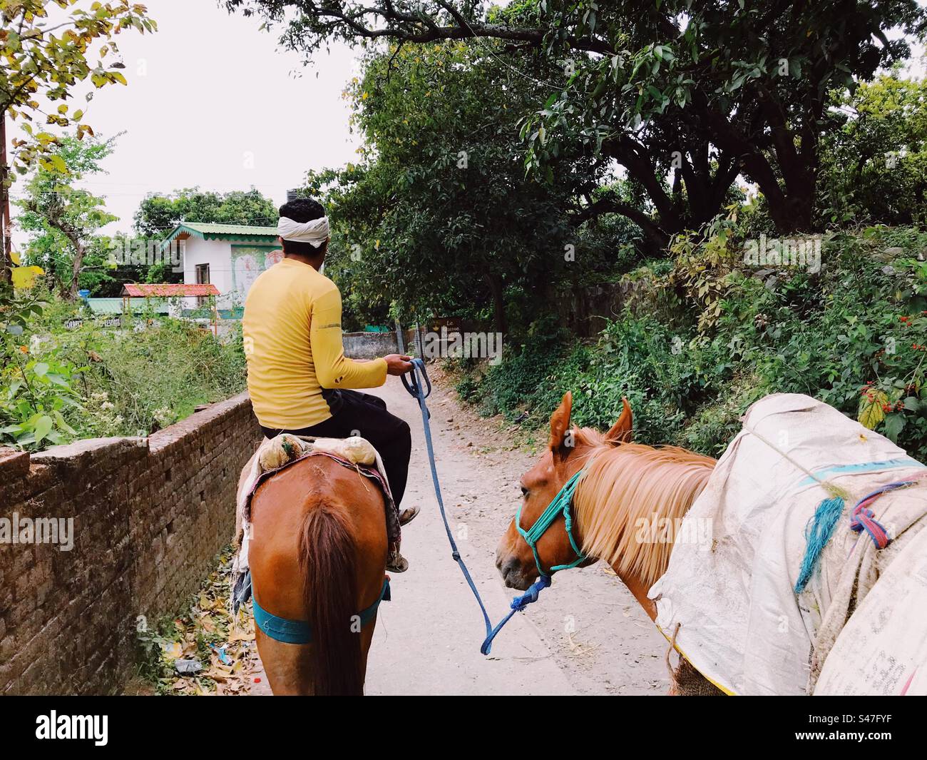 A man sitting on a horse pulling another horse carrying luggage - Smartphone Captured Stock Image
