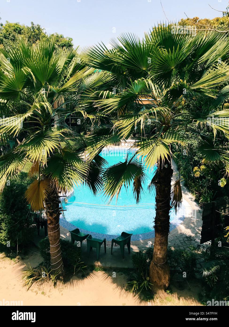 A resort with a swimming pool surrounded by palm trees Stock Photo - Alamy