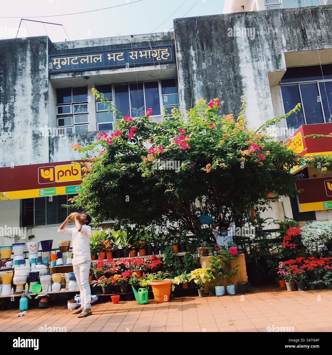 A plant nursery on a pavement in Mumbai, India Stock Photo Alamy