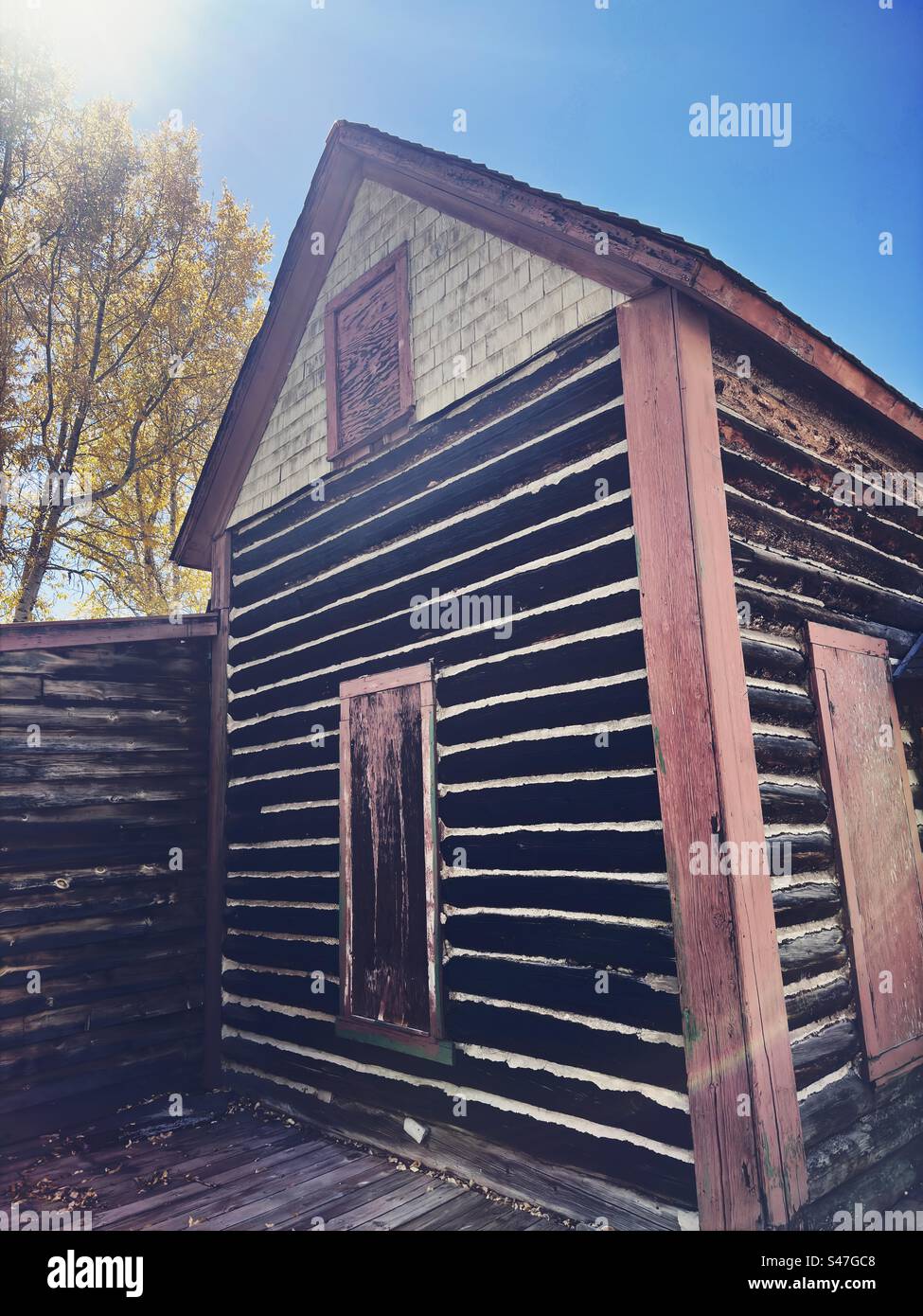 Old log cabin in Twin Lakes, Colorado, USA, near Leadville. Yellow, aspen tree in the background. - Smartphone Captured Stock Image