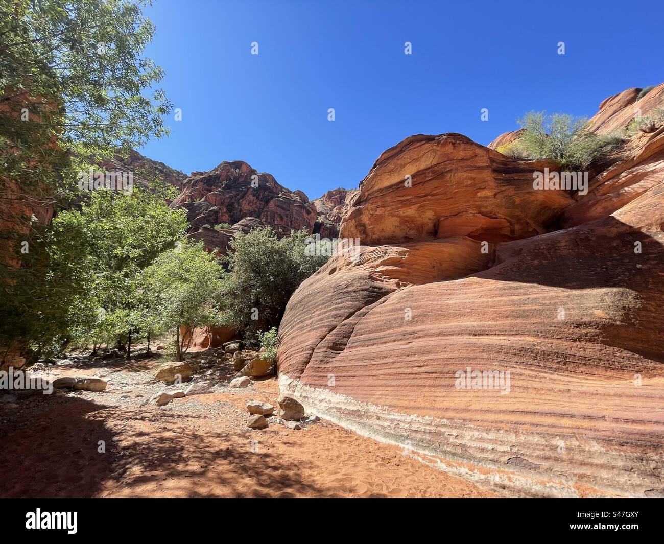 Riverbed erosion hi-res stock photography and images - Alamy