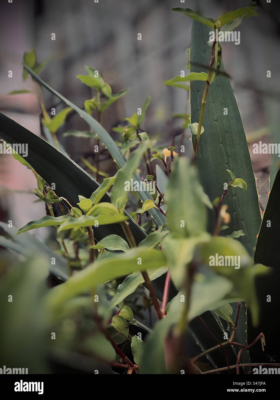 Life is all about happiness Stock Photo Alamy