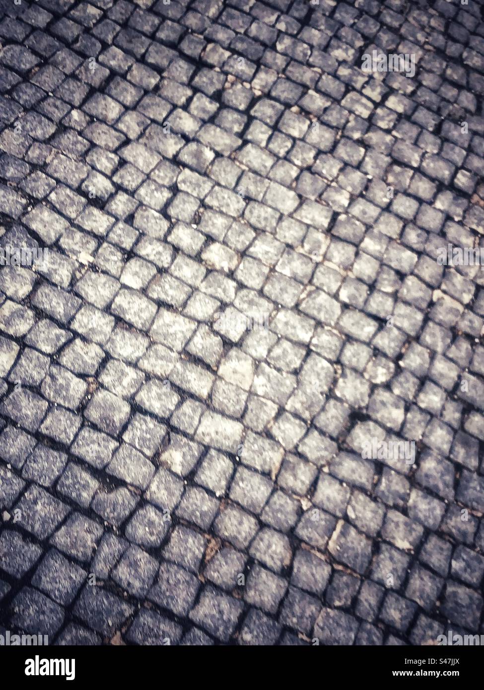 Portuguese Ground floor tiles Stock Photo Alamy