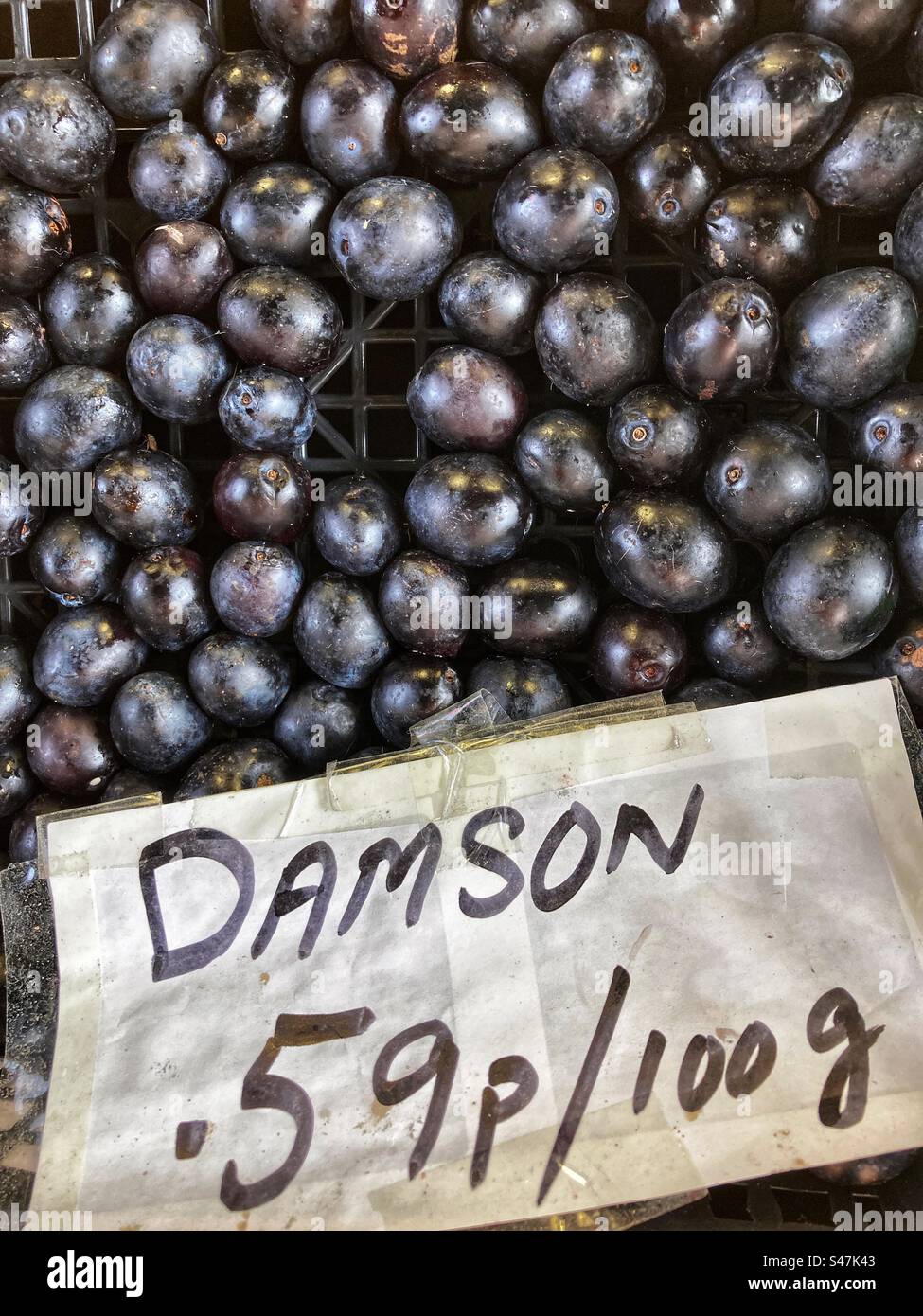 Damson priced up for sale at Grocers shop - Smartphone Captured Stock Image