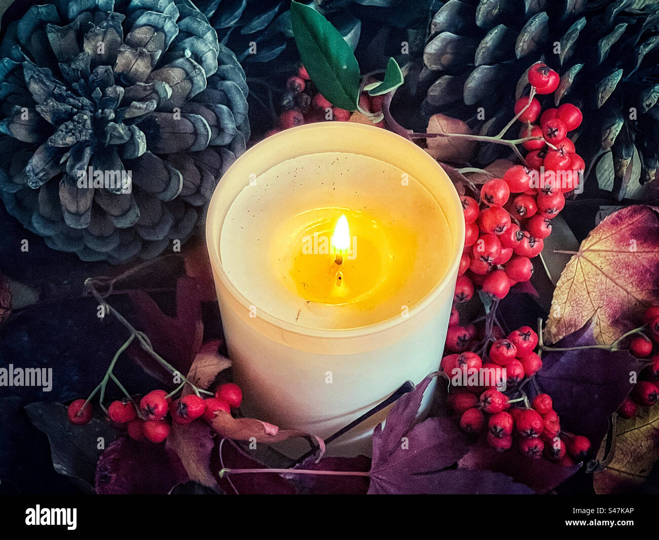 High angle view of lighted tealight candle surrounded by pine cones, red berries and colorful autumn leaves. Autumn/ Christmas decoration. Celebration. Lifestyle. Holiday-event. Aromatherapy. - Smartphone Captured Stock Image