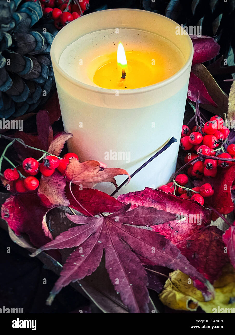 Close-up of lighted tea light candle surrounded by pine cones, red berries and colorful autumn leaves. Holiday-event. Christmas/ autumn decoration. Celebration. Still life. Lifestyle. Aromatherapy. - Smartphone Captured Stock Image