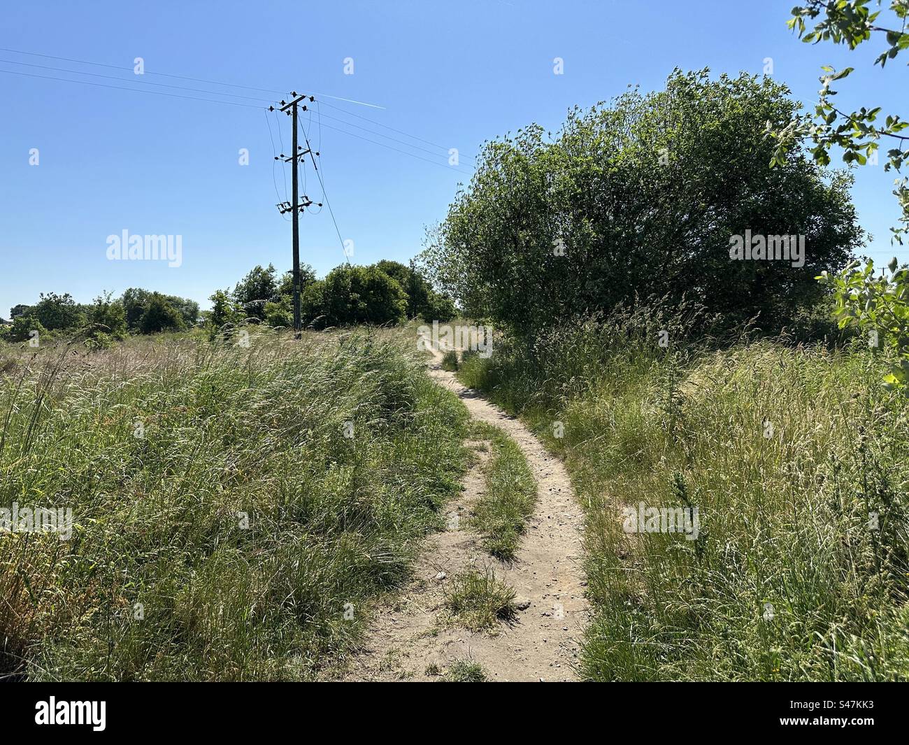 Footpath, with long grasses, wild plants and trees, on the moor top with blue skies in, Norland, Sowerby Bridge, UK Stock Photo