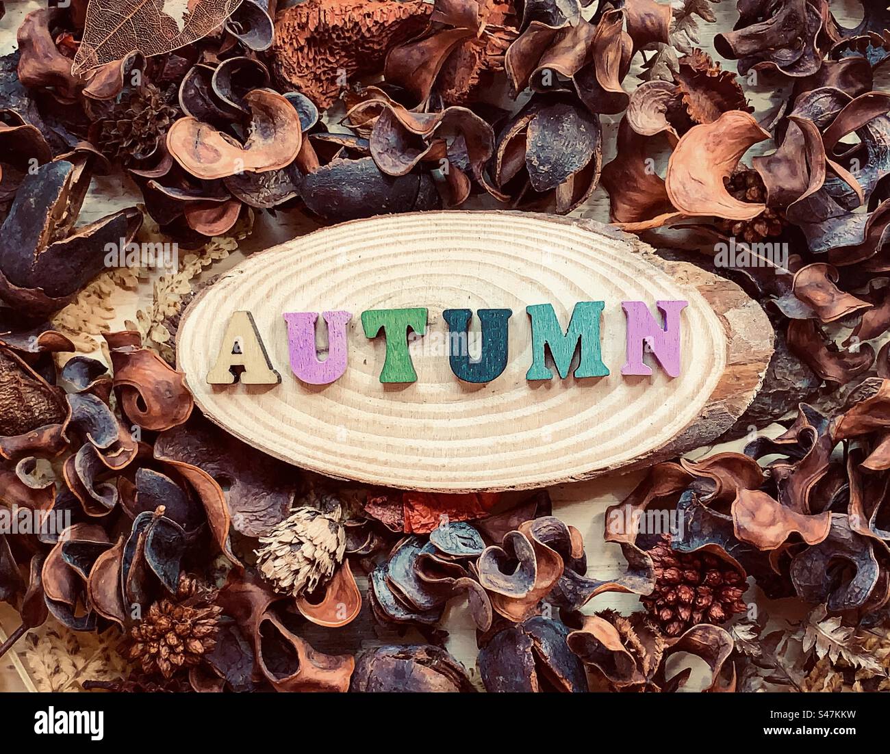 Autumnal flat lay - Smartphone Captured Stock Image