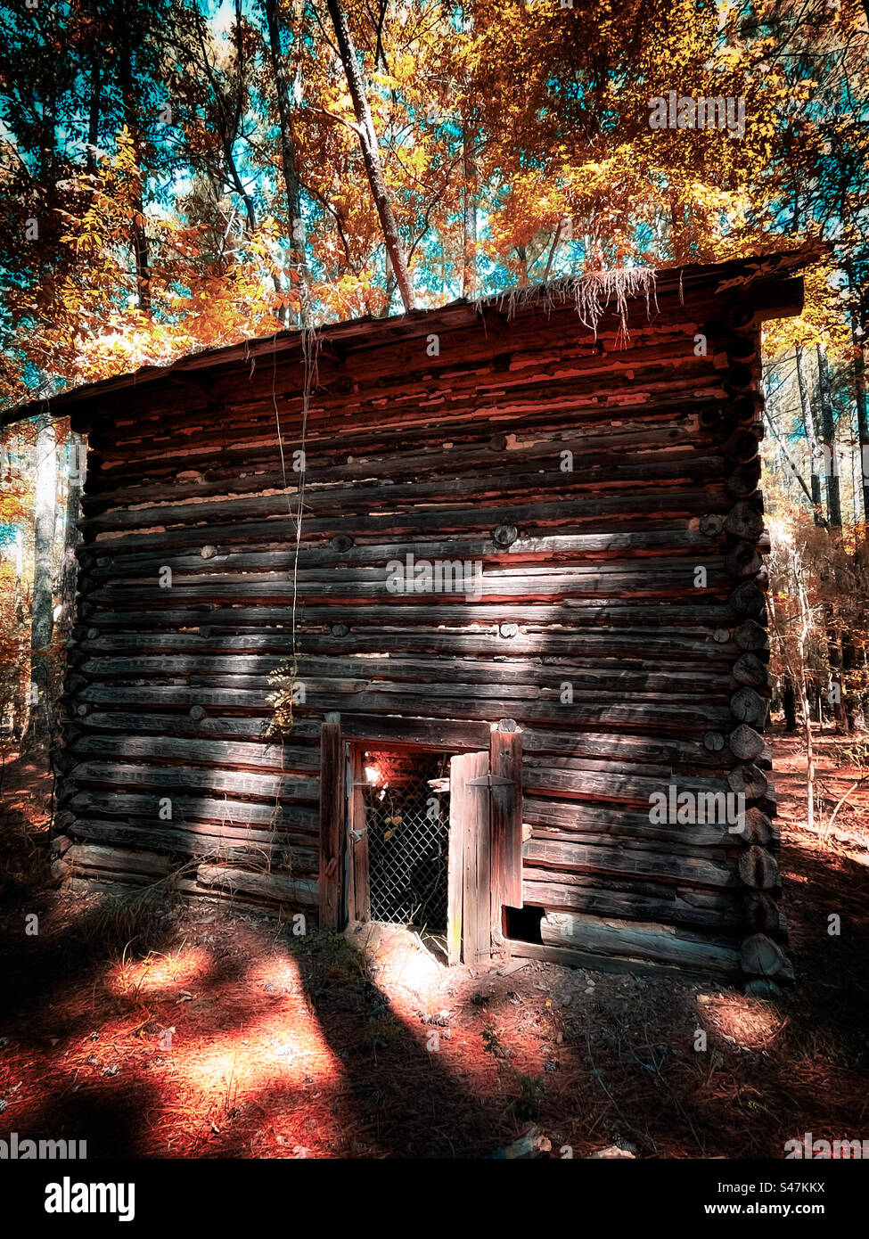 Old tobacco barn in North Carolina Stock Photo Alamy