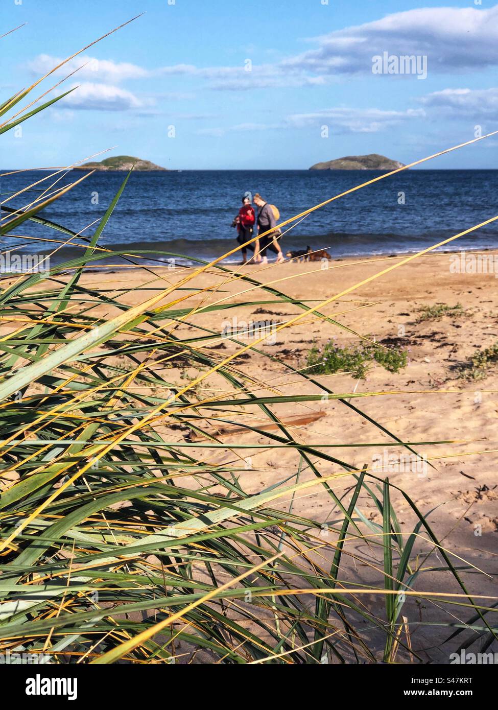 People on Yellowcraig beach with a view towards the Forth estuary, East Lothian Scotland - Smartphone Captured Stock Image