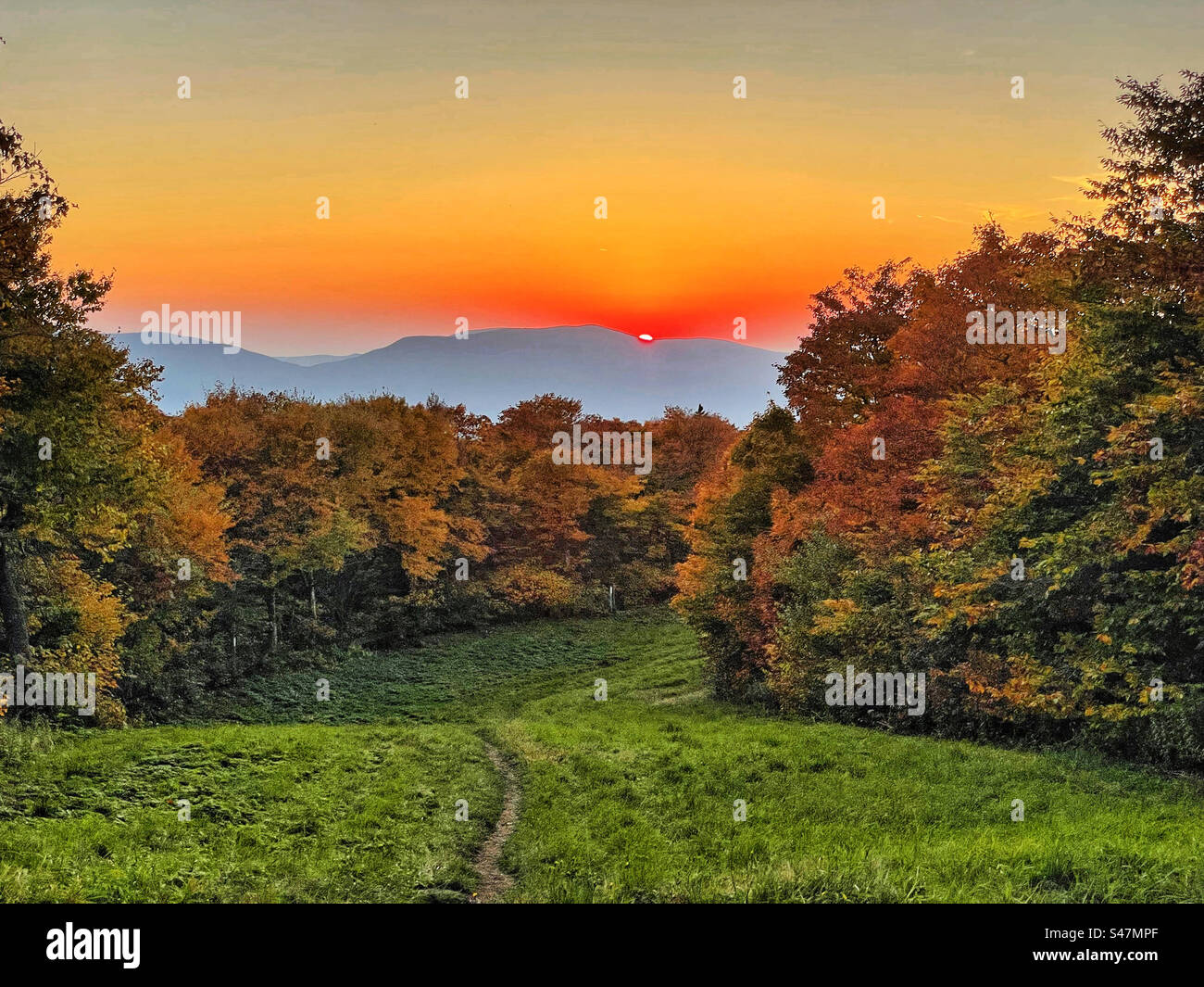 The sunset over a distant mountain with fall foliage in the foreground. Stock Photo