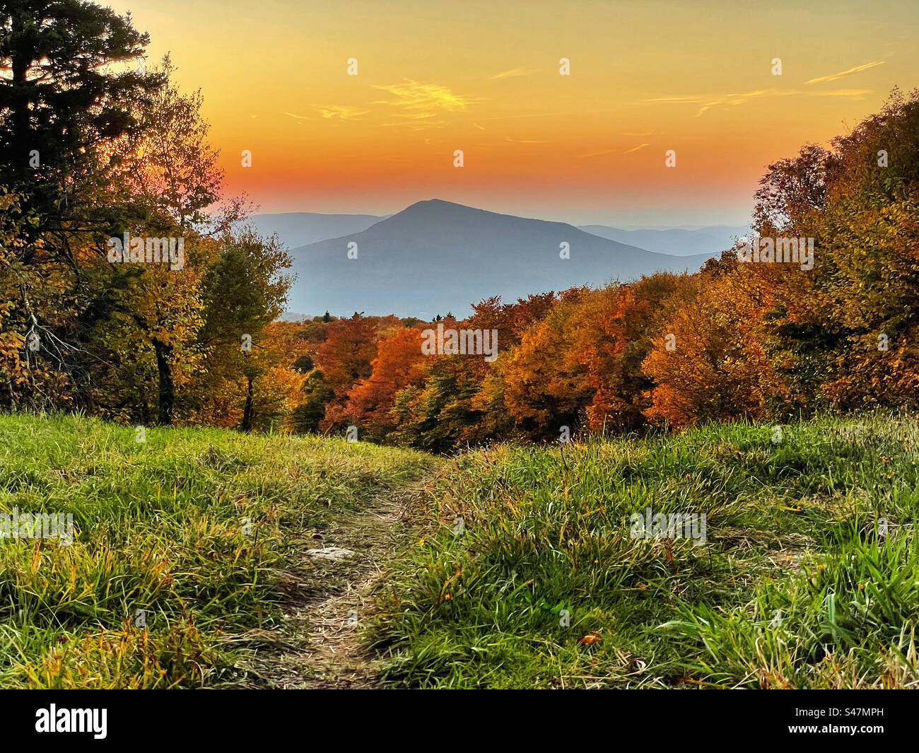 Sunset over the Long Trail that leads down a slope during fall foliage in Vermont. Stock Photo