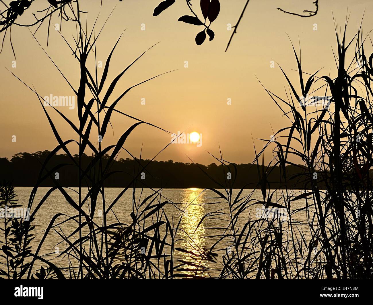 Benefits of watching the sunrise Watching the sunrise can improve mood, inspire awe, and reduce inflammation. - Smartphone Captured Stock Image