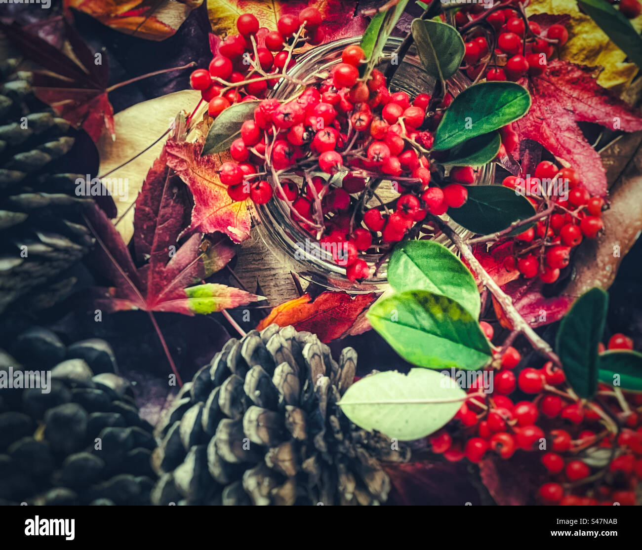 Close-up of red berries in glass jar surrounded by pine cones and colorful autumn leaves. Backgrounds. Decoration. Celebration. Autumn/Christmas. - Smartphone Captured Stock Image