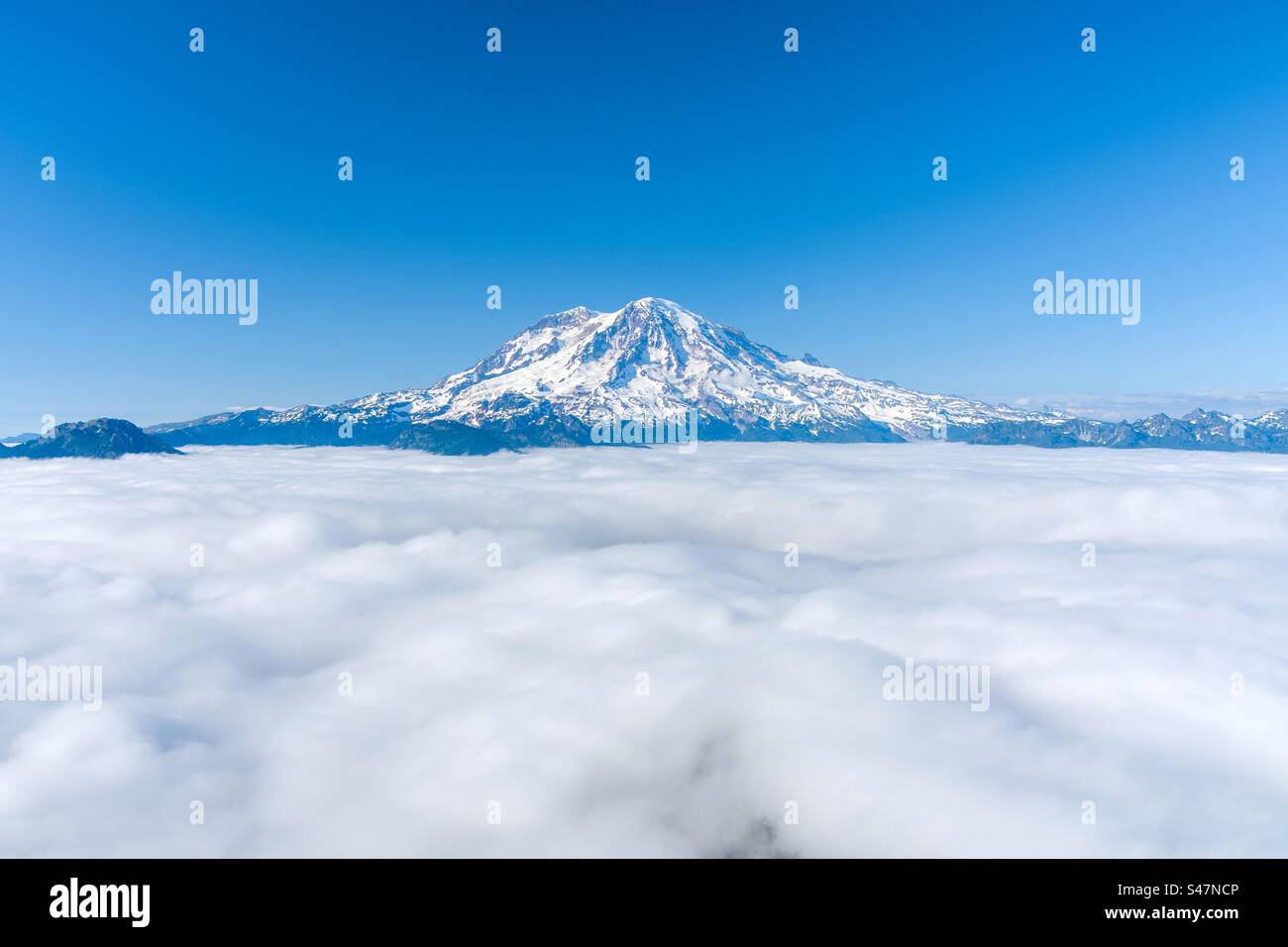 Mount Rainier above the clouds - Smartphone Captured Stock Image