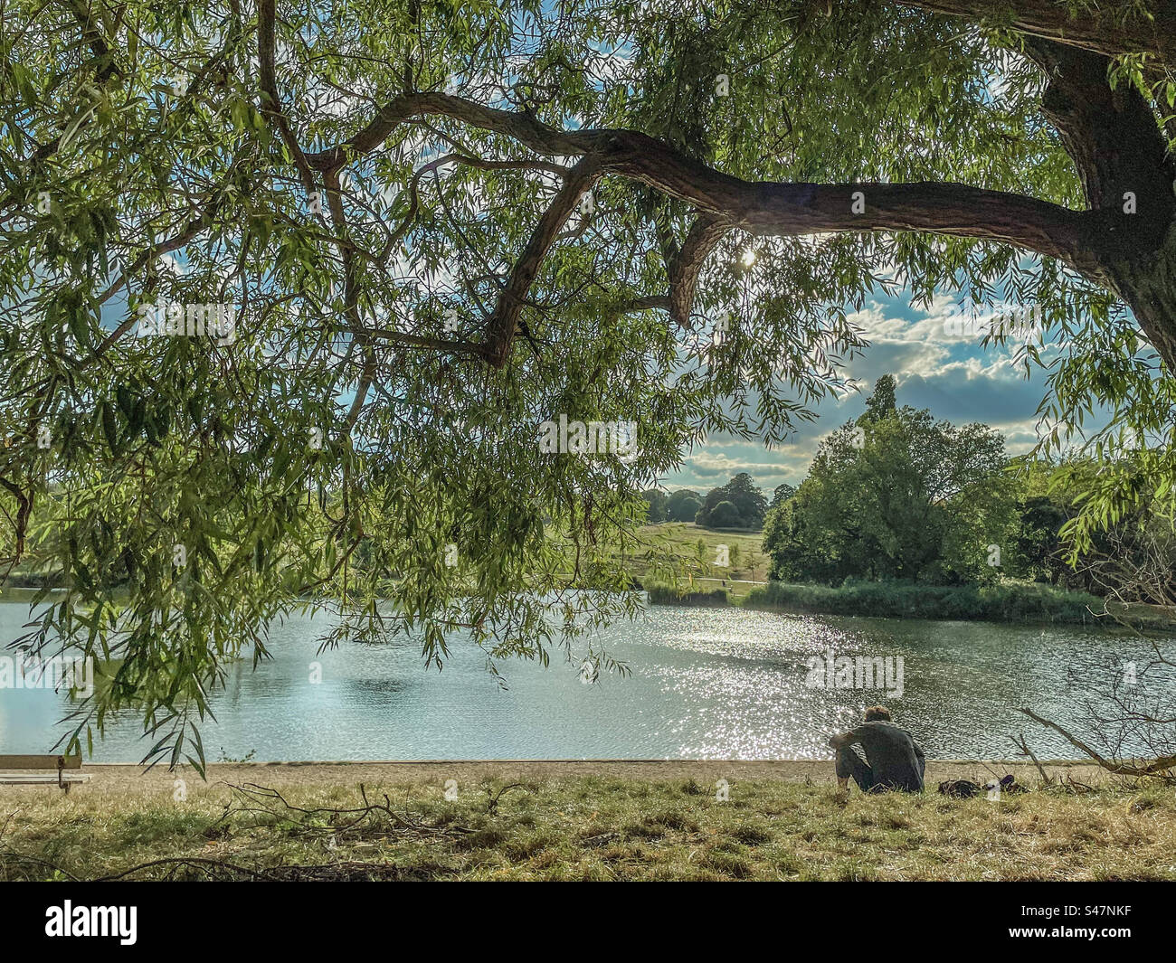 Hampstead Heath pond - Smartphone Captured Stock Image