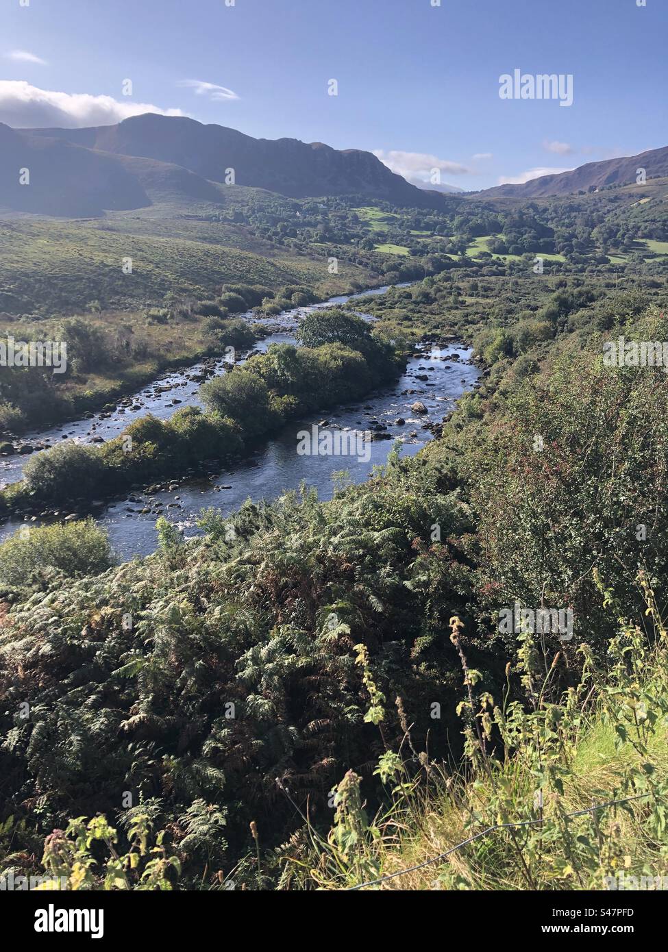 Verdant landscape in Ireland. - Smartphone Captured Stock Image
