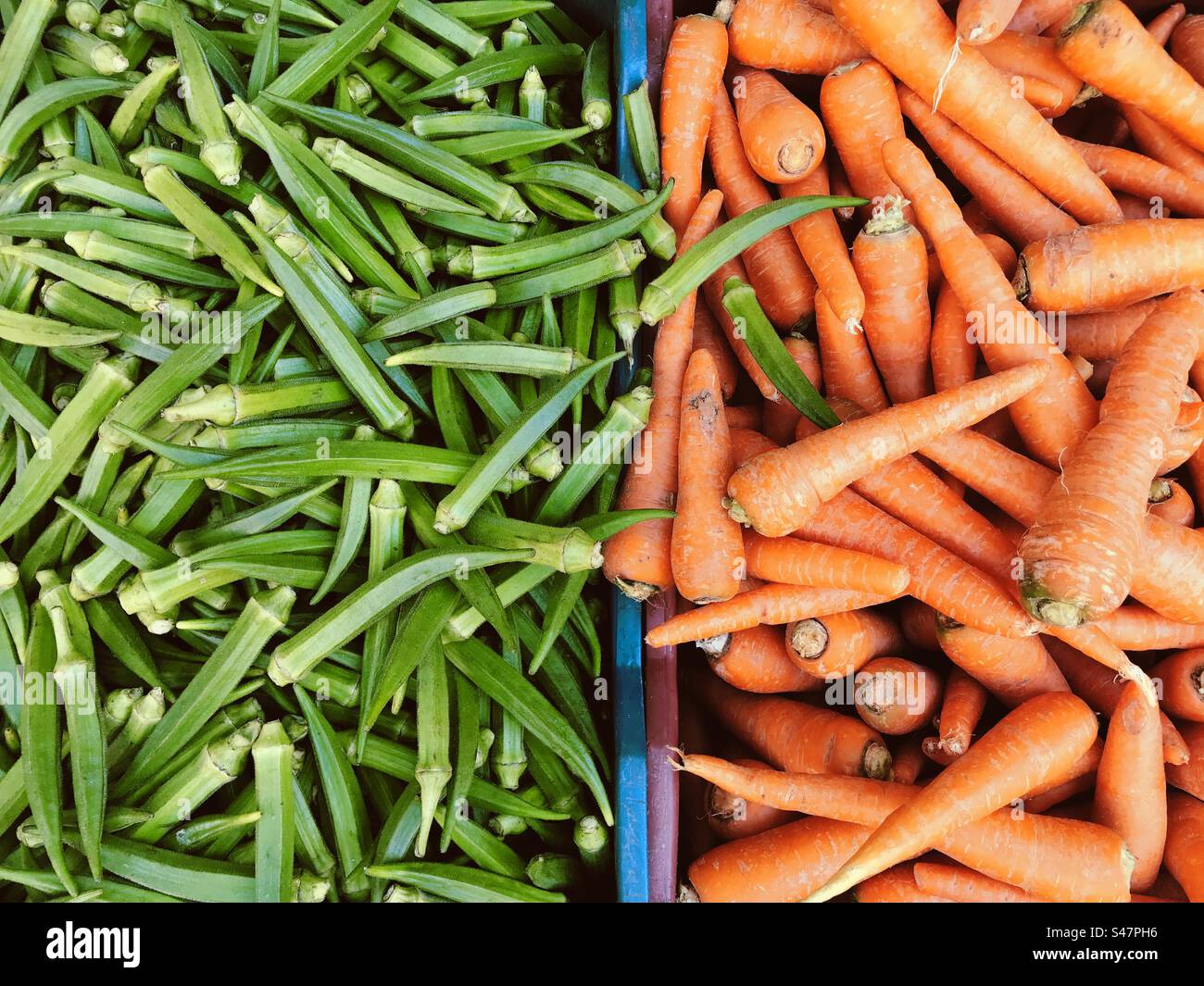 Lady’s fingers or okra and carrots for sale at an organic farmer’s market - Smartphone Captured Stock Image