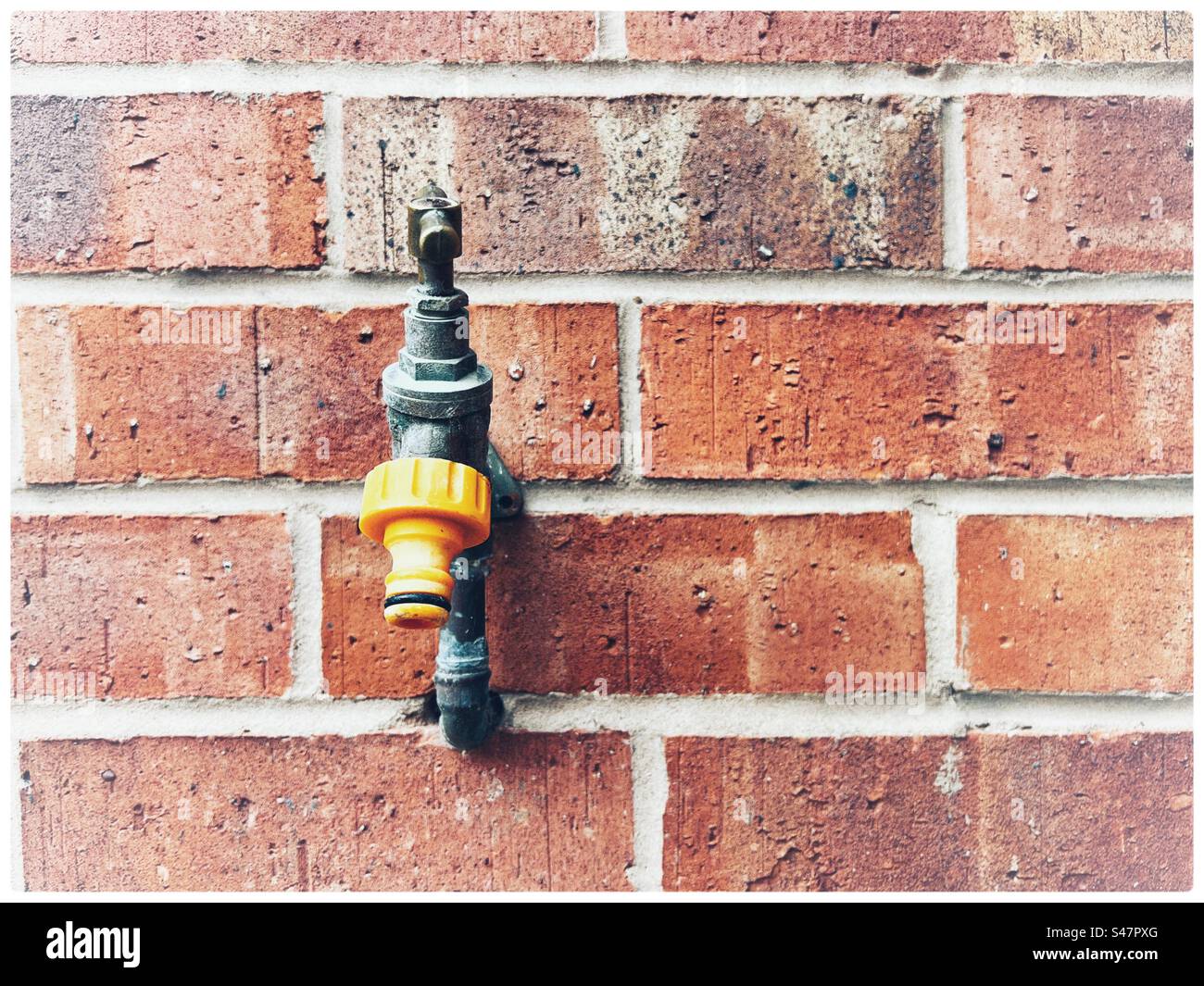 Outside garden tap with yellow plastic hose fitting mounted on weathered plain brick wall. Stock Photo