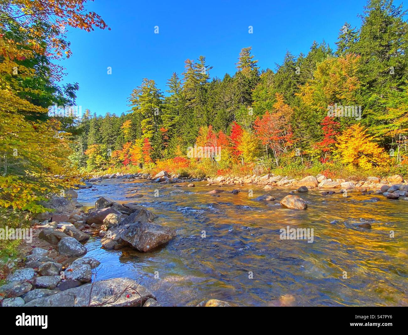 Cute stream in New Hampshire - Smartphone Captured Stock Image