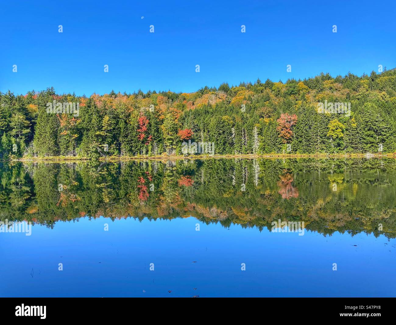 Cool fall trees with reflections in the lake - Smartphone Captured Stock Image