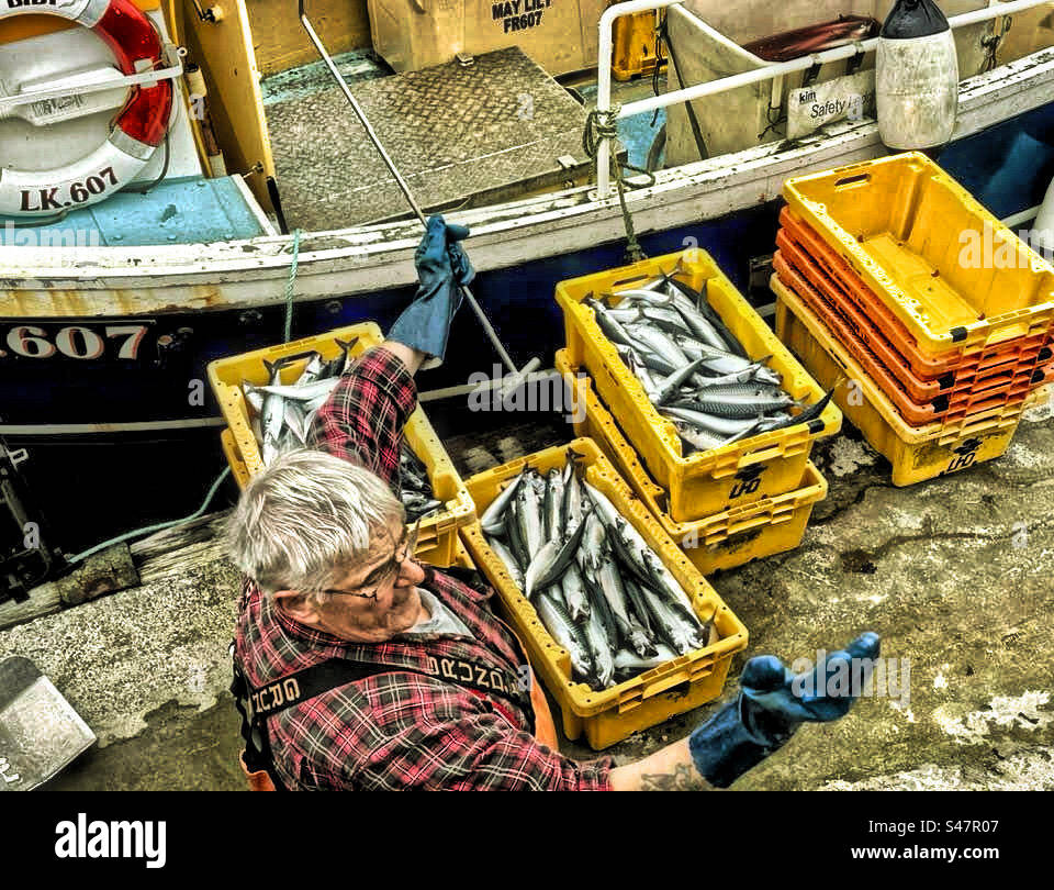 Old Fisherman on the dock - Smartphone Captured Stock Image