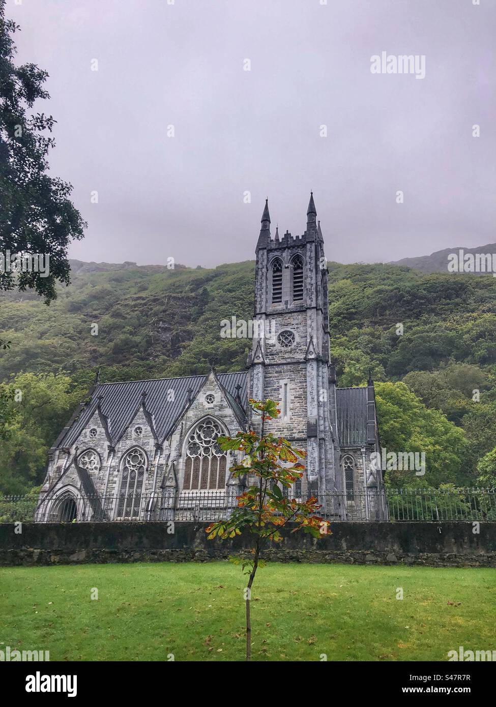 A misty day in Ireland. - Smartphone Captured Stock Image
