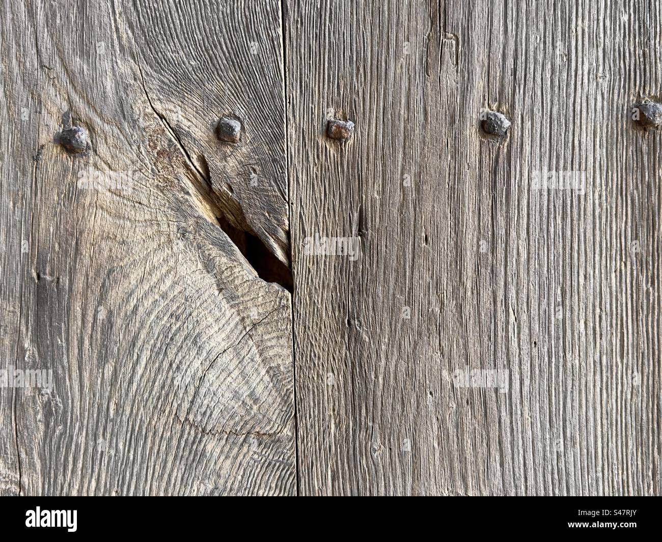 A detail of a mediaeval barn door with wood grain, knots and a row of nail heads Stock Photo