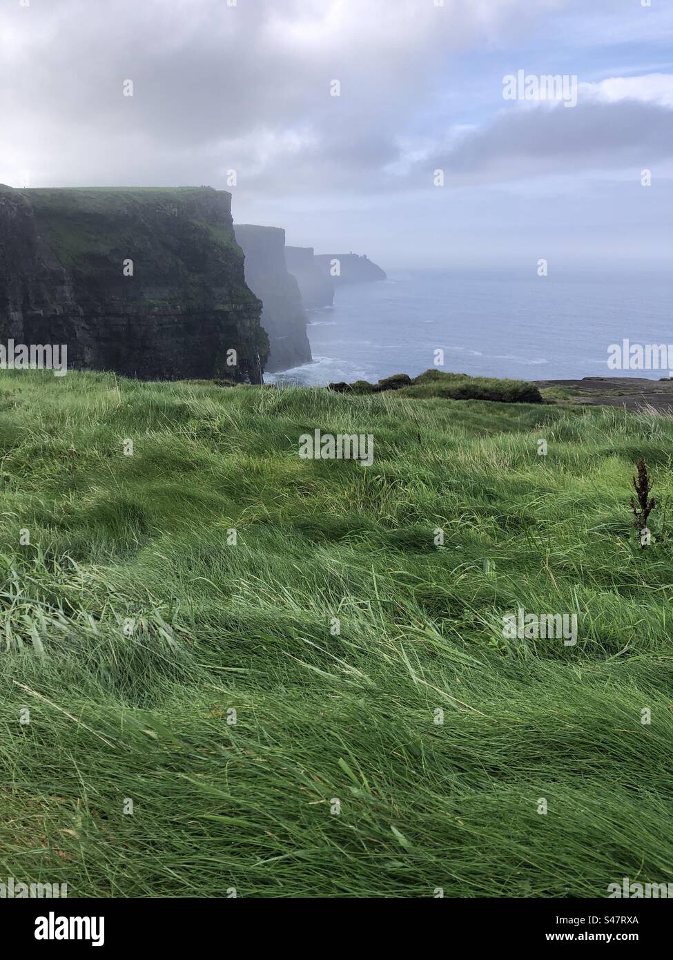 Cliffs of Moher, Ireland. - Smartphone Captured Stock Image