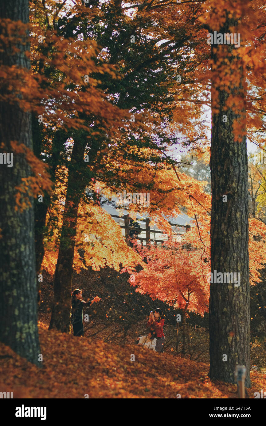 Girls playing with autumn leaves and taking photo. Beautiful back ground of people in fall season - Smartphone Captured Stock Image
