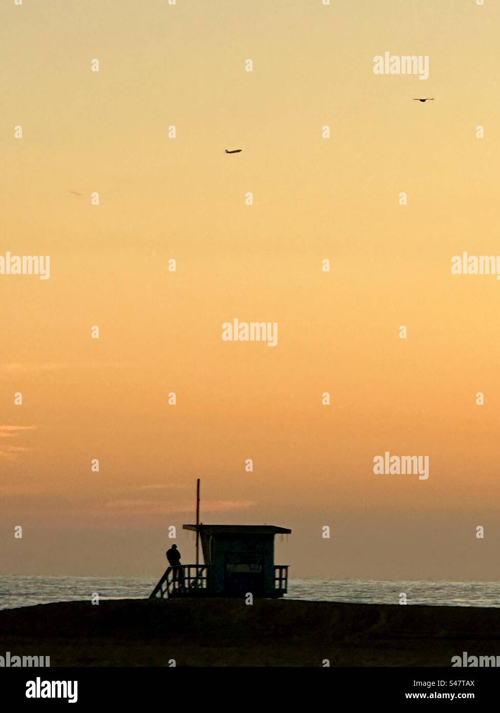 Lifeguard watching the sunset from a tower on the beach in Los Angeles with a bird and a plane in flight above. - Smartphone Captured Stock Image