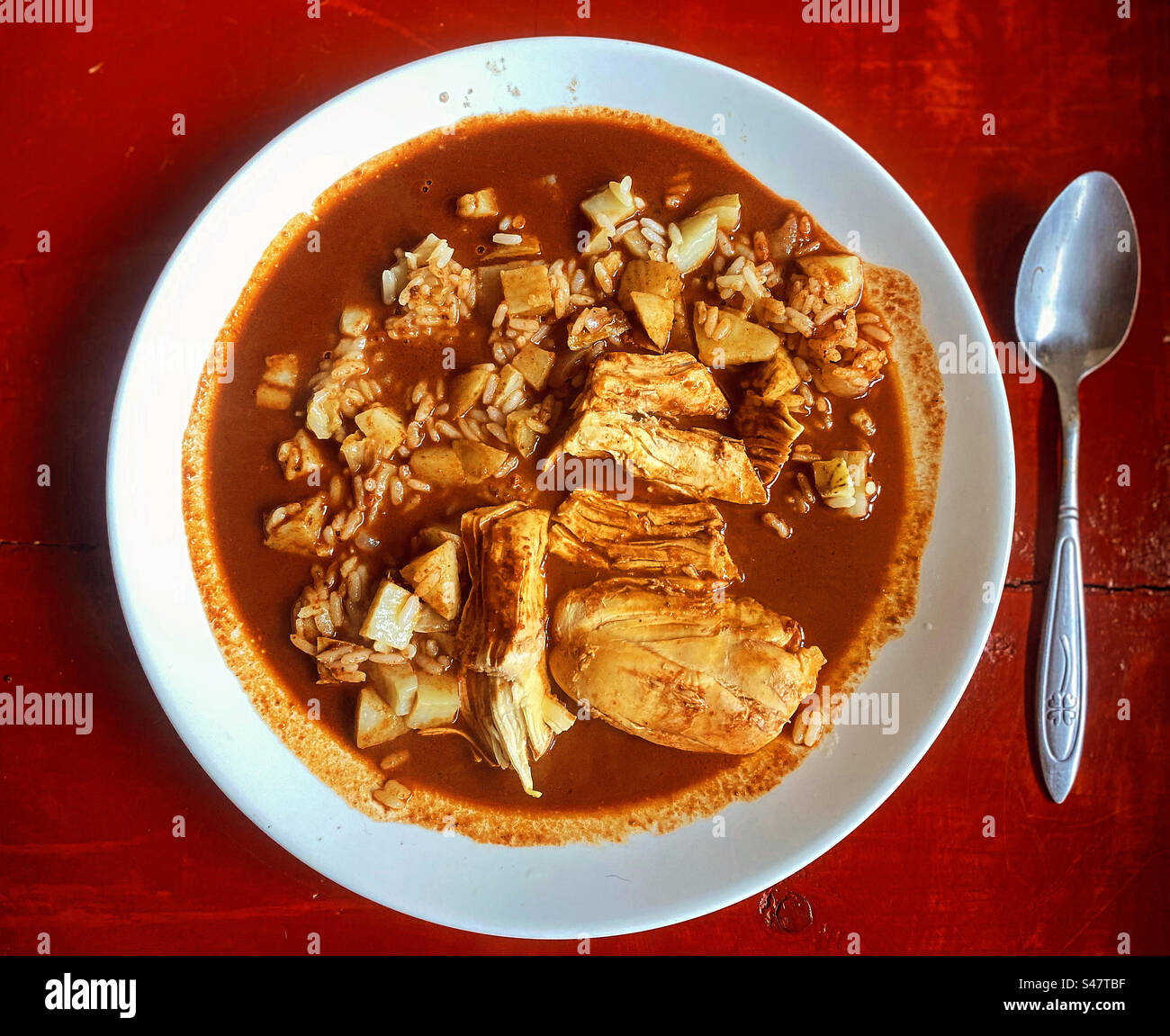 Mole poblano made with chocolate and chicken, rice and potatoes in Mexico - Smartphone Captured Stock Image Mole poblano made with chocolate and chicken, rice and potatoes in Mexico - Smartphone Captured Stock Image